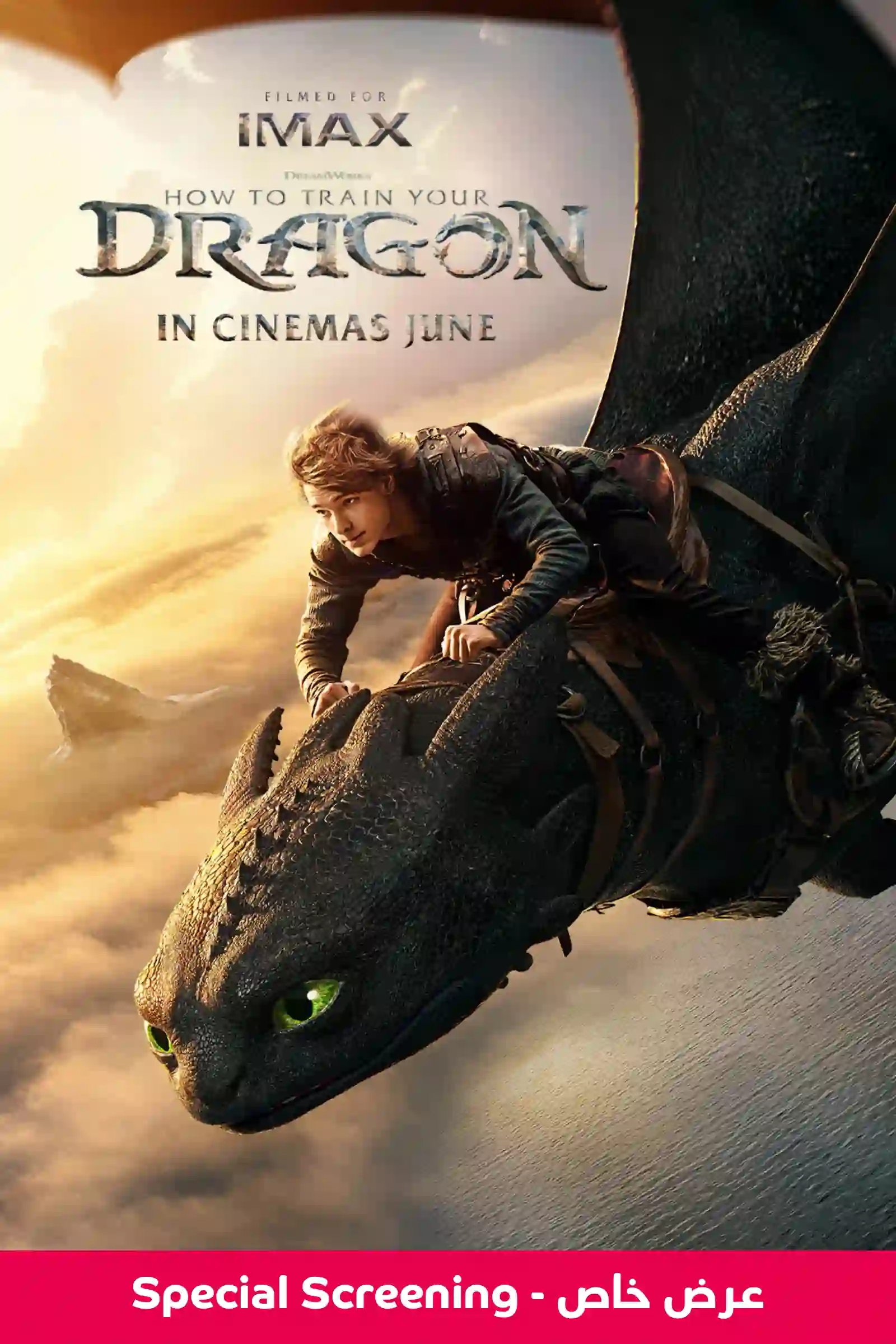 HOW TO TRAIN YOUR DRAGON